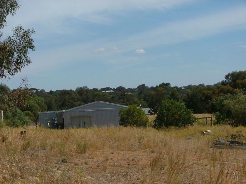 25 Loddon, Murray Bridge East SA 5253