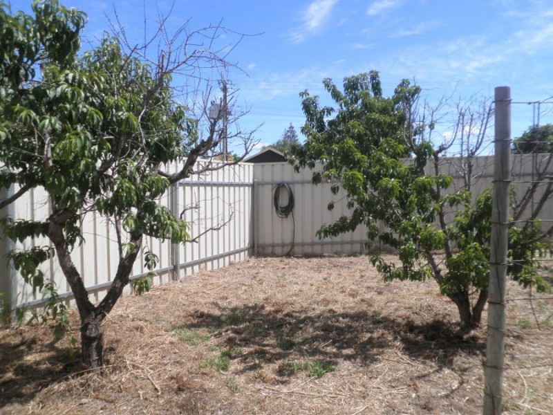 5 Charles Street (Shed), Murray Bridge SA 5253
