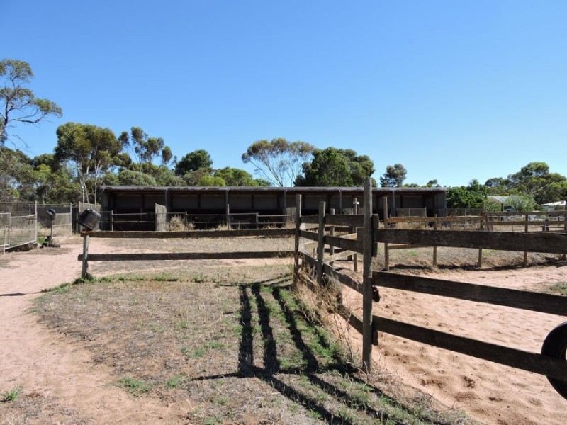 200 Mannum, Murray Bridge SA 5253