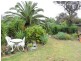 10 Clarence, Lameroo SA 5302