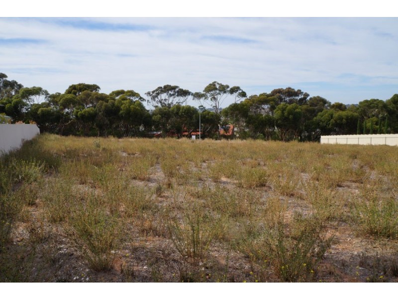 64-66 Roper Road, Murray Bridge SA 5253