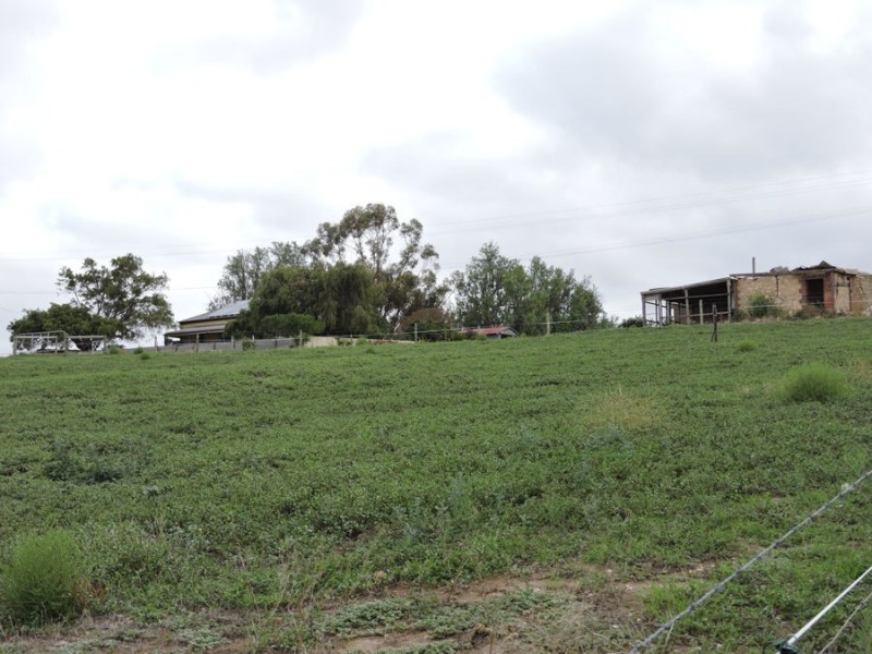 1881 Jervois Road, Woods Point SA 5253