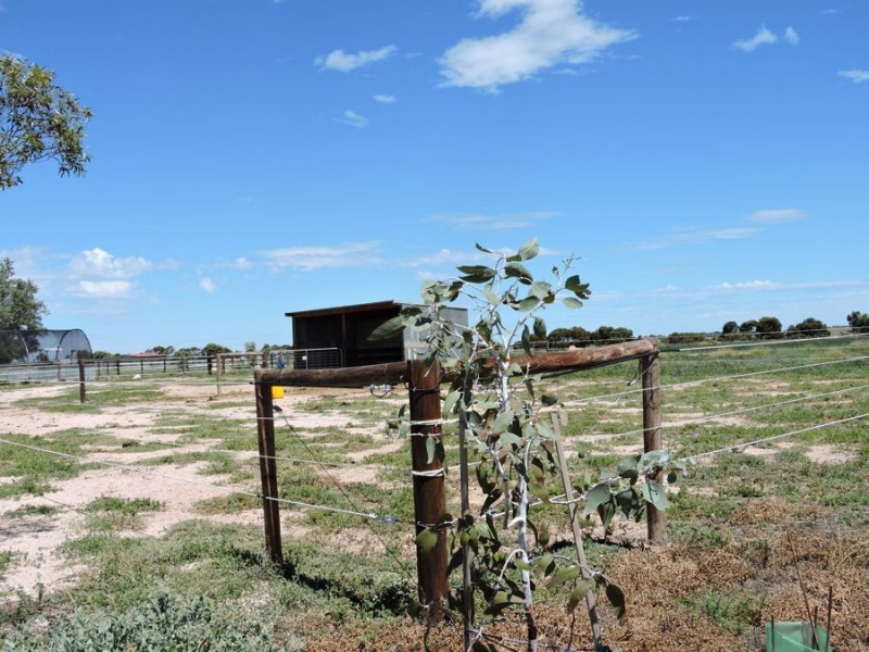 1881 Jervois Road, Woods Point SA 5253