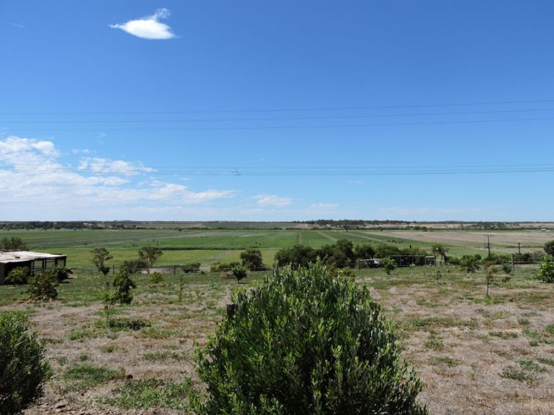 1881 Jervois Road, Woods Point SA 5253