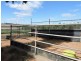249 The Point, Woods Point SA 5253