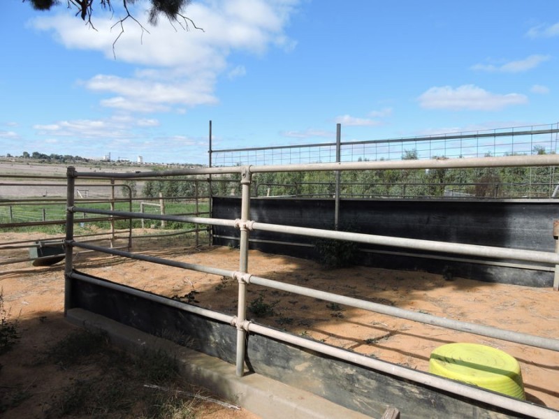 249 The Point, Woods Point SA 5253