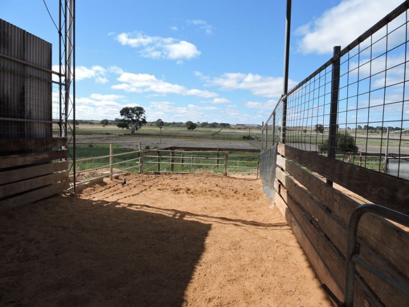 249 The Point, Woods Point SA 5253