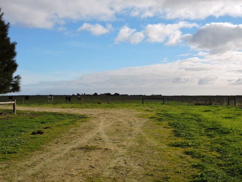 1093 Yumali Rd, Meningie SA 5264