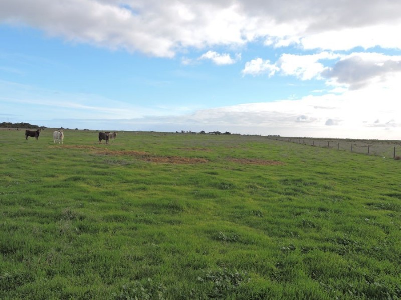 1093 Yumali Rd, Meningie SA 5264