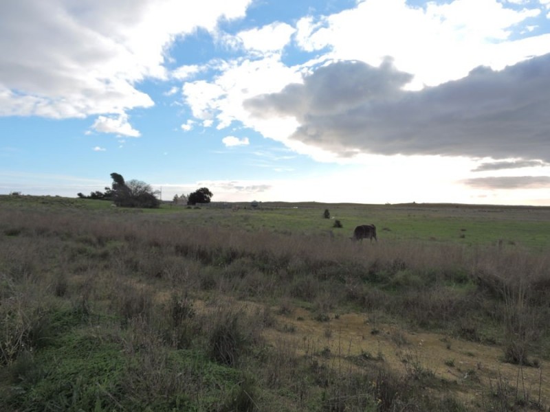 1093 Yumali Rd, Meningie SA 5264