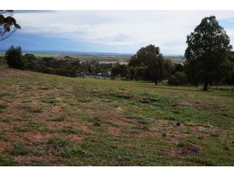 116 Mitchell Avenue, Murray Bridge SA 5253