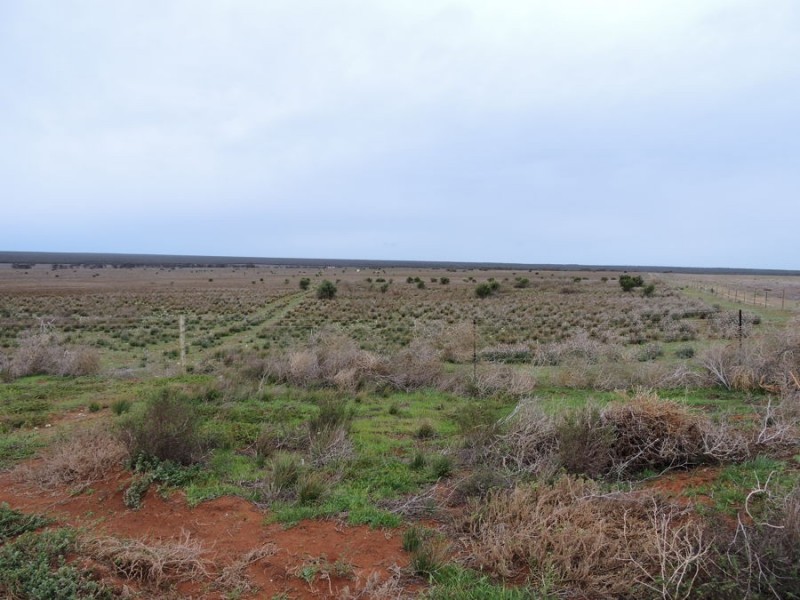 Sec 242 & 247 Quarry Road, Black Hill SA 5353