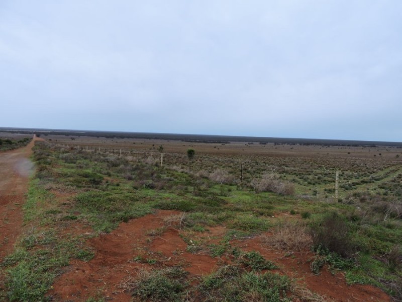 Sec 242 & 247 Quarry Road, Black Hill SA 5353