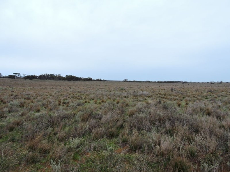 Sec 242 & 247 Quarry Road, Black Hill SA 5353