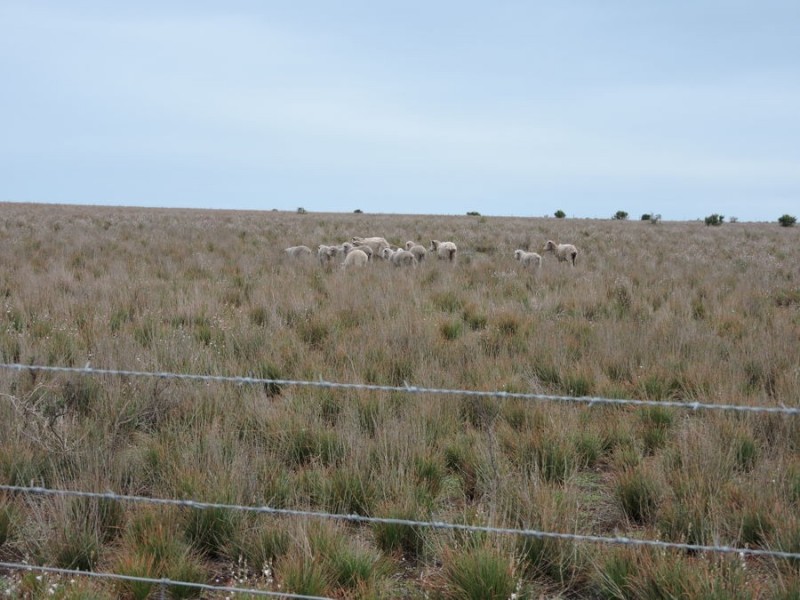 Sec 242 & 247 Quarry Road, Black Hill SA 5353