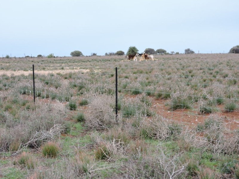 Sec 242 & 247 Quarry Road, Black Hill SA 5353