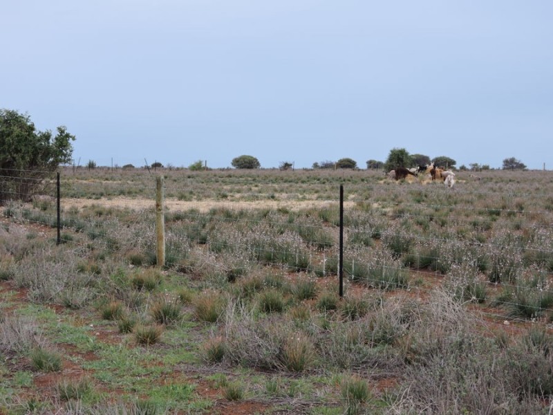 Sec 242 & 247 Quarry Road, Black Hill SA 5353