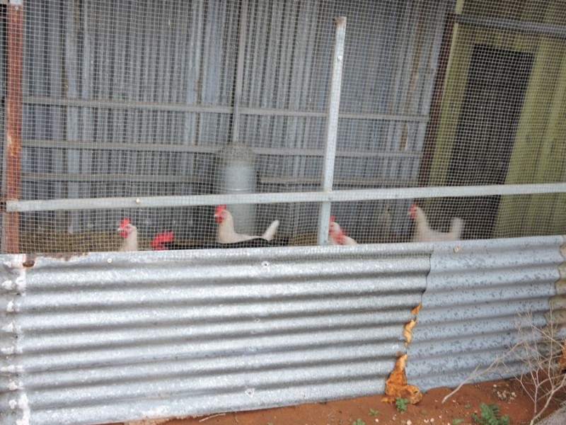 Sec 242 & 247 Quarry Road, Black Hill SA 5353