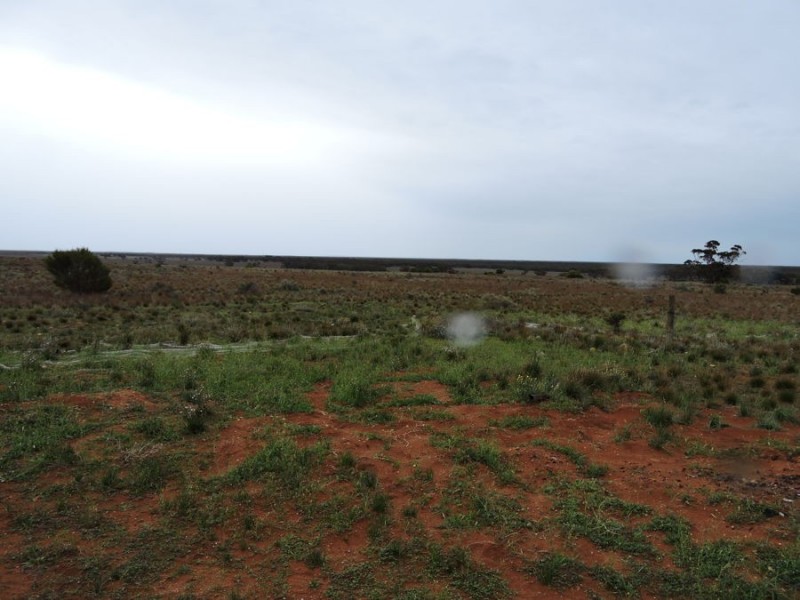 Sec 242 & 247 Quarry Road, Black Hill SA 5353