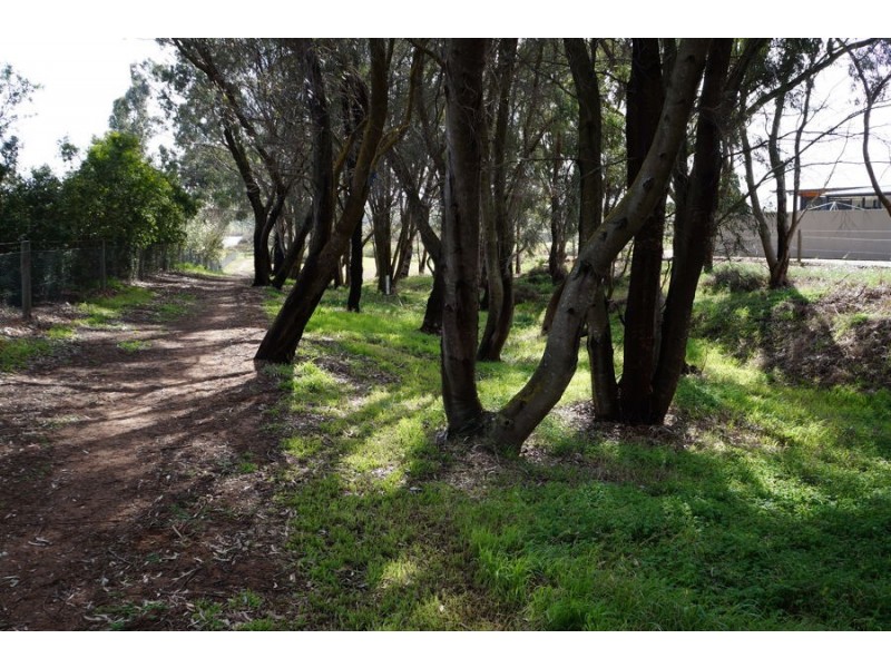 8 Katherine Court, Murray Bridge SA 5253