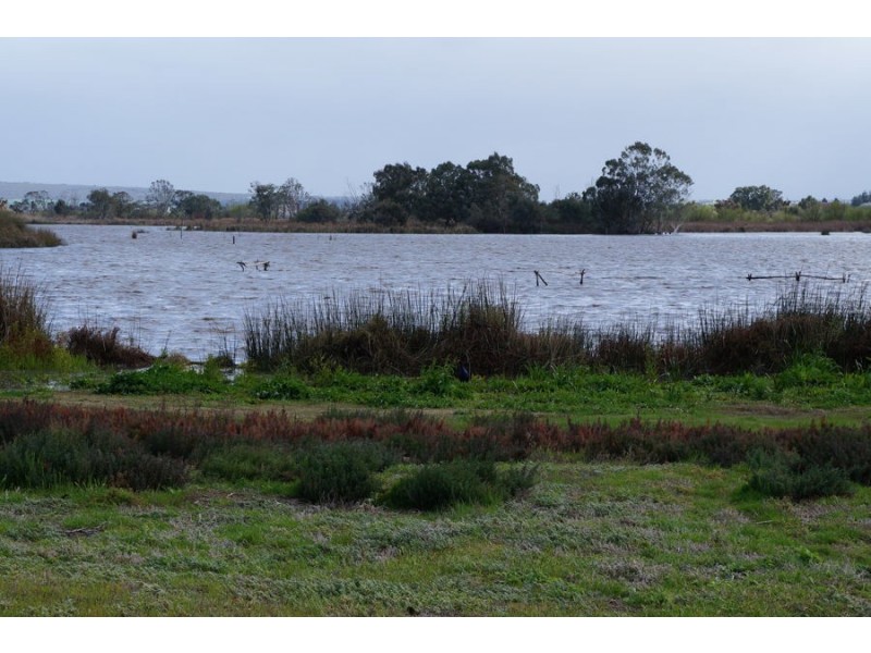 8 Katherine Court, Murray Bridge SA 5253