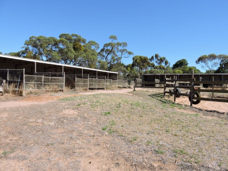 200 Mannum Road, Murray Bridge SA 5253