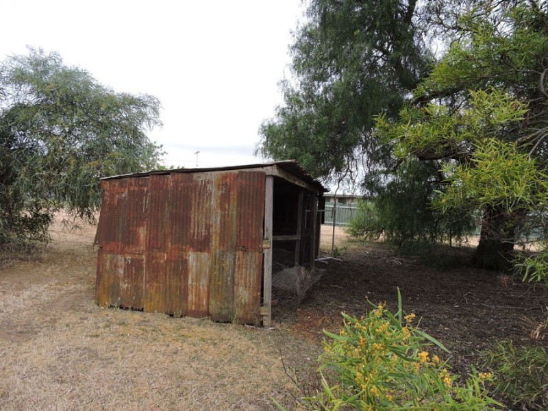 11a Elizabeth, Murray Bridge SA 5253