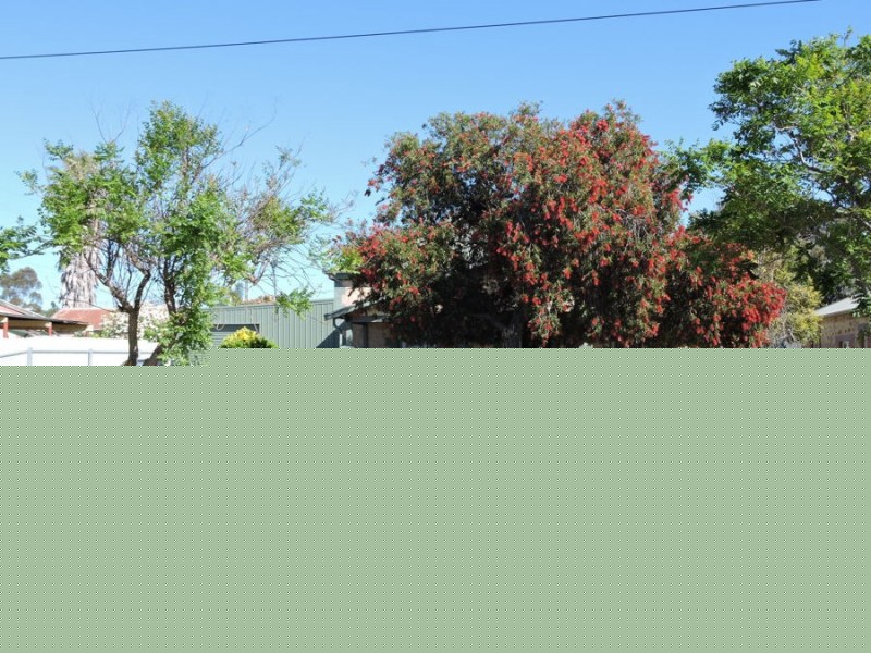 77 Eleanor, Murray Bridge SA 5253