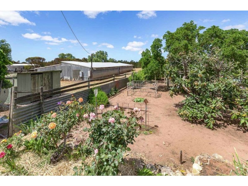 84 Rocky Gully Road, Murray Bridge SA 5253