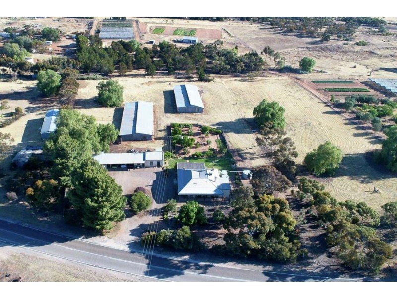 84 Rocky Gully Road, Murray Bridge SA 5253
