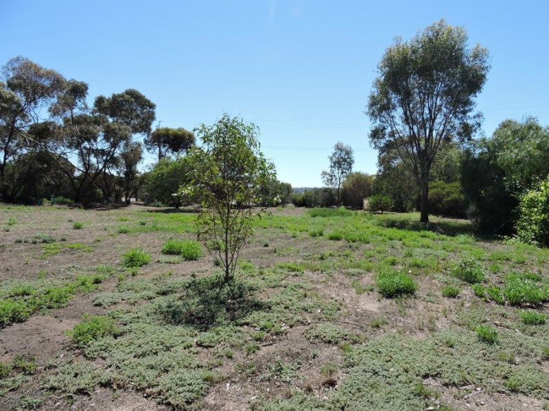 15 Nilpena, Murray Bridge SA 5253