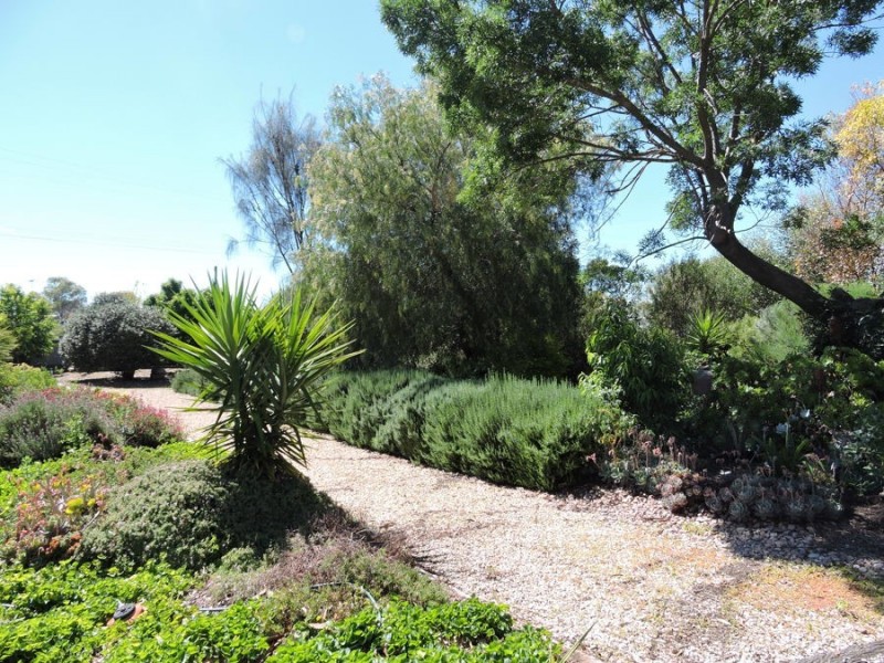 15 Nilpena, Murray Bridge SA 5253