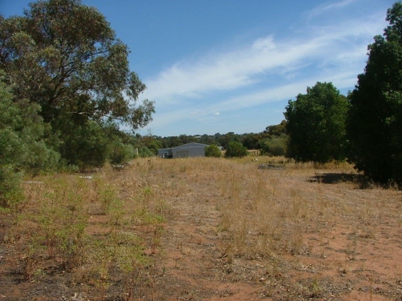 25 Loddon Road, Murray Bridge SA 5253