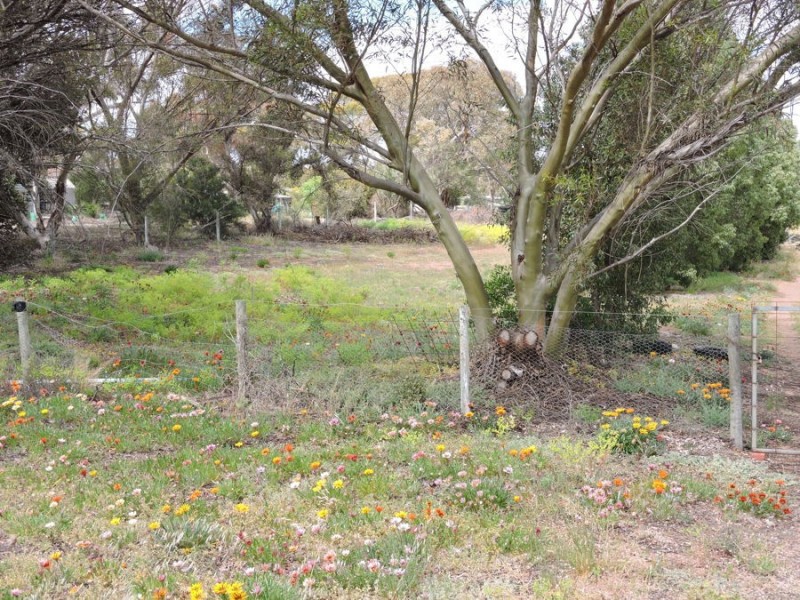 25 Loddon Road, Murray Bridge SA 5253