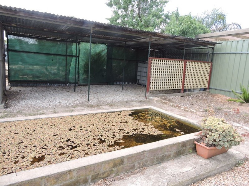 69 Standen, Murray Bridge SA 5253