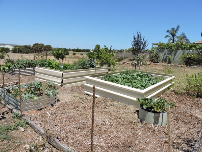 1 Schwerdt, Murray Bridge SA 5253