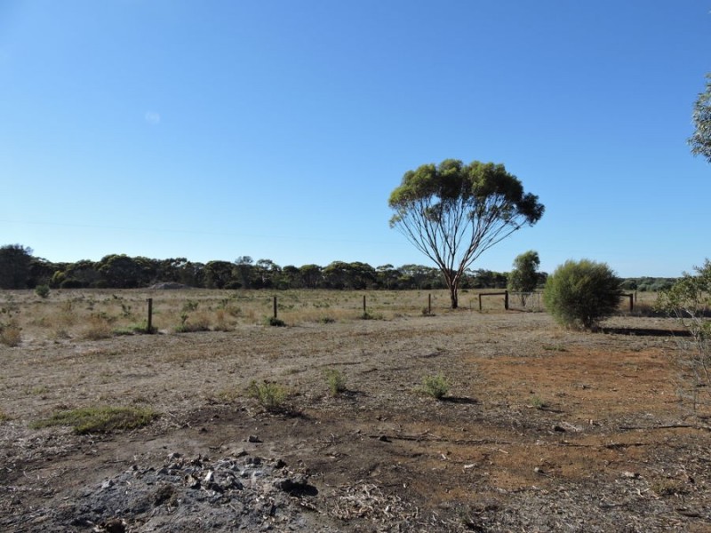 390 Schenscher, Monarto SA 5254