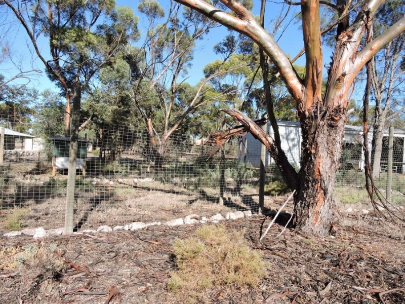 390 Schenscher, Monarto SA 5254