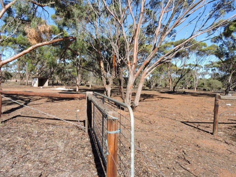 390 Schenscher, Monarto SA 5254