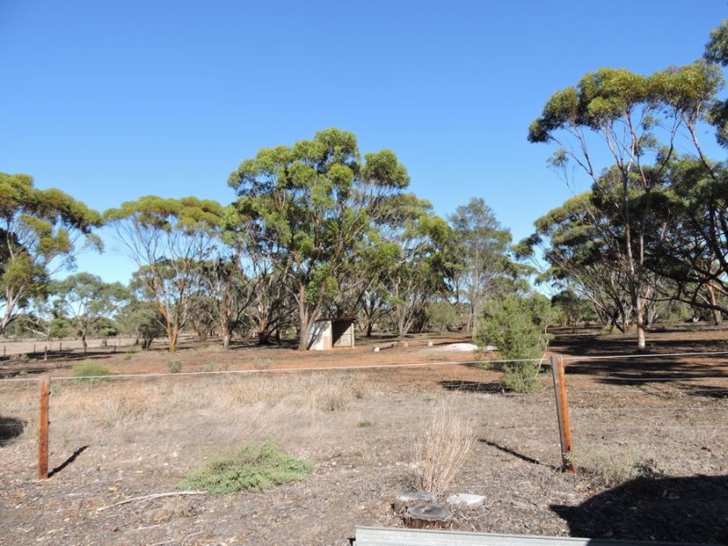 390 Schenscher, Monarto SA 5254