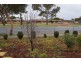 241 Adelaide Road, Murray Bridge SA 5253
