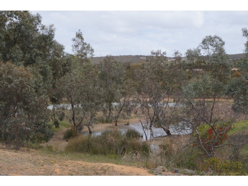 2B Rural Avenue, Murray Bridge SA 5253