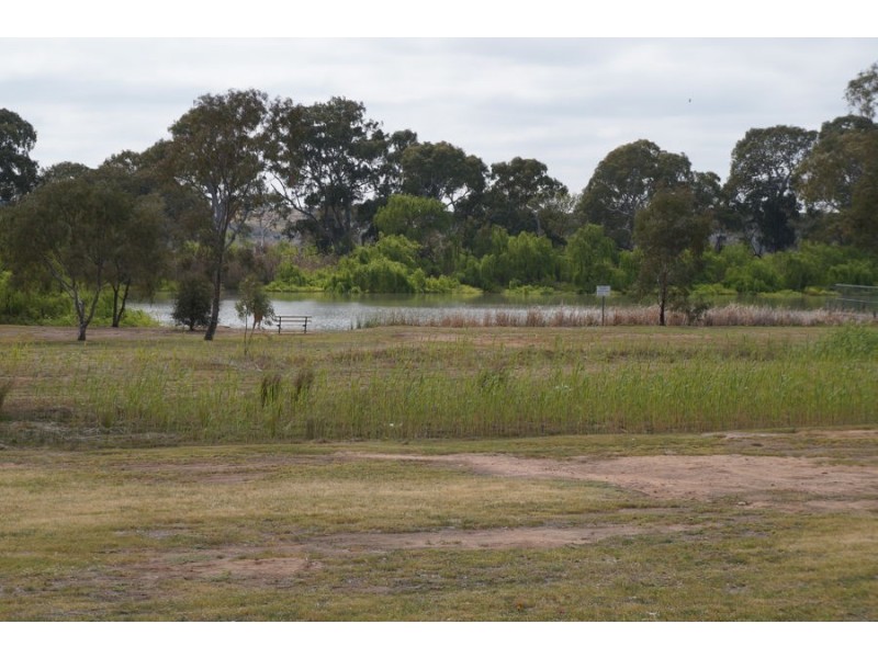 22 Jacaranda Street, Murray Bridge SA 5253