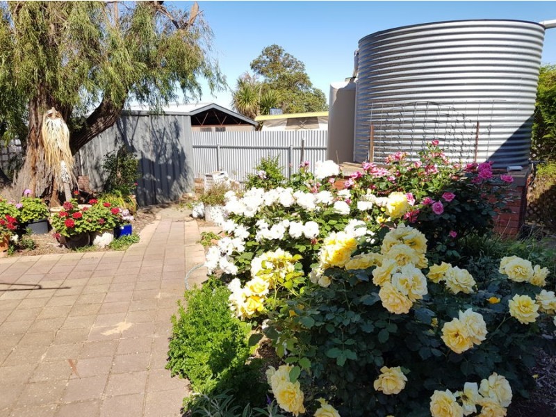 16 Leslie Street, Murray Bridge SA 5253