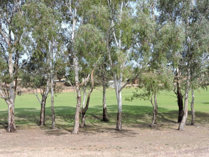 2A Cooke Street, Murray Bridge SA 5253