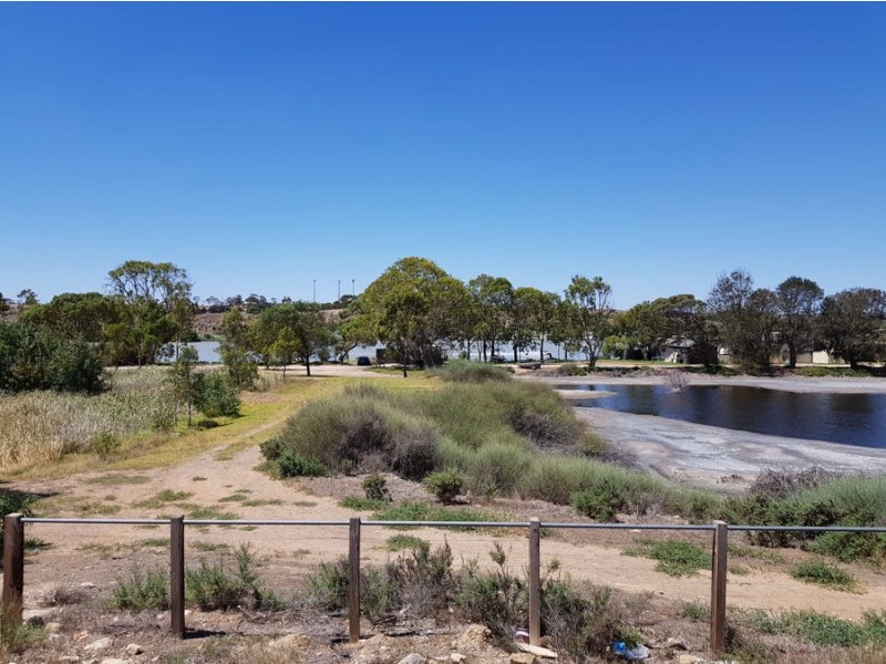16 Wetlands Close, Murray Bridge SA 5253