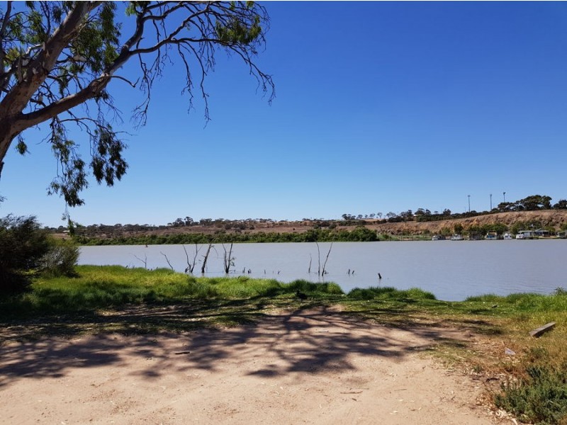 16 Wetlands Close, Murray Bridge SA 5253
