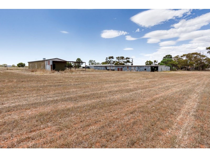 27 Heinjus Road, Strathalbyn SA 5255
