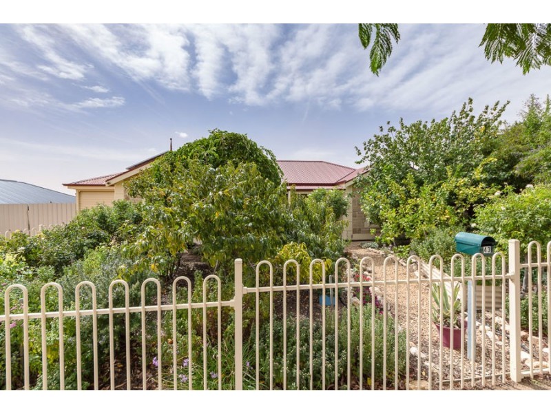 43 Charles Street, Murray Bridge SA 5253