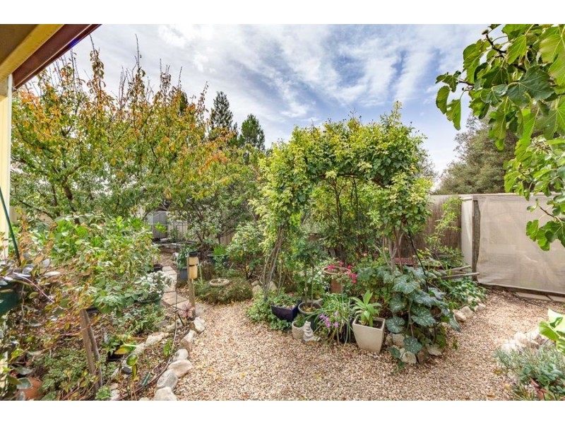 43 Charles Street, Murray Bridge SA 5253